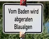 Blaualgen machen Ende Juli 2022 das Baden im Gödnitzer See bei Zerbst unmöglich.