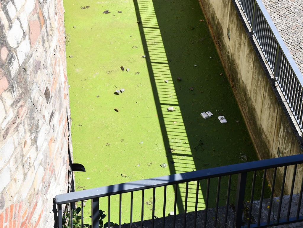 Der Graben an der Bastion Cleve in Magdeburg ist in einem schlechten Zustand.