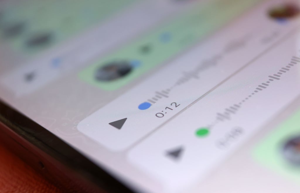 Der Betrüger meldete sich bei der Dessauerin über Whatsapp.