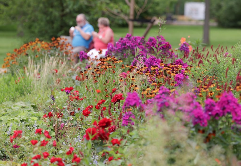 Eine Besucherin und ein Besucher genießen ein Eis auf der Landesgartenschau.