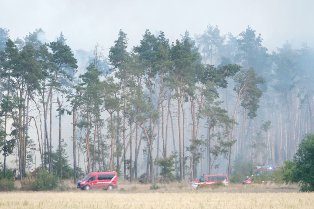 Qualm von Glutnestern und kleineren Feuern steht in einem Wald im Landkreis Elbe-Elster.