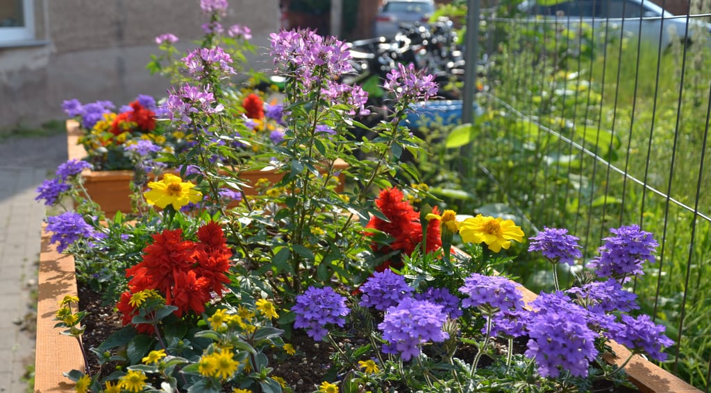 Auch vor Blumenkästen wie diesen machten die Randalierer in Arendsee nicht halt.