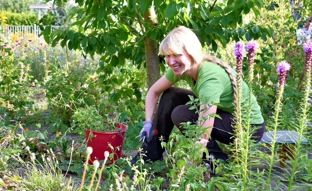 Der Garten von Mandy Ehlers fällt auf. Gemüse, Obst, Blumen, Sträucher und Bäume – die 40-Jährige hat auf etwa 500 Quadratmetern ein wahres Naturparadies geschaffen. Ein Nutzgarten, wie man ihn noch aus früheren Zeiten kennt.