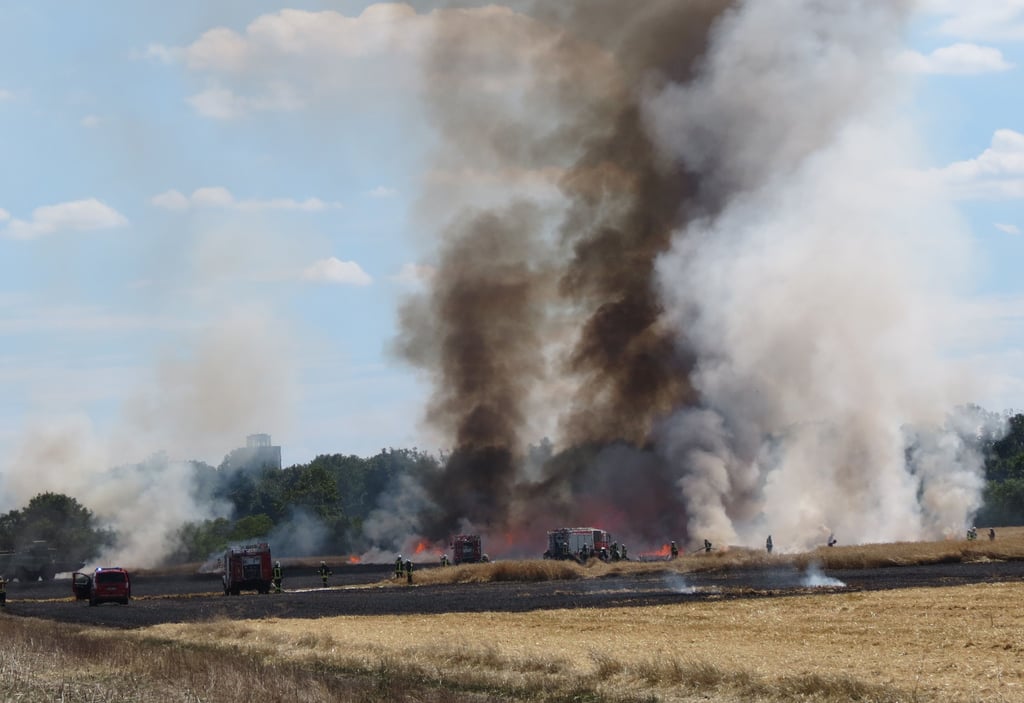 Mehrere Feuerwehren mussten zu einem Feldbrand zwischen der Osterburger und Uenglinger Straße in Stendal ausrücken