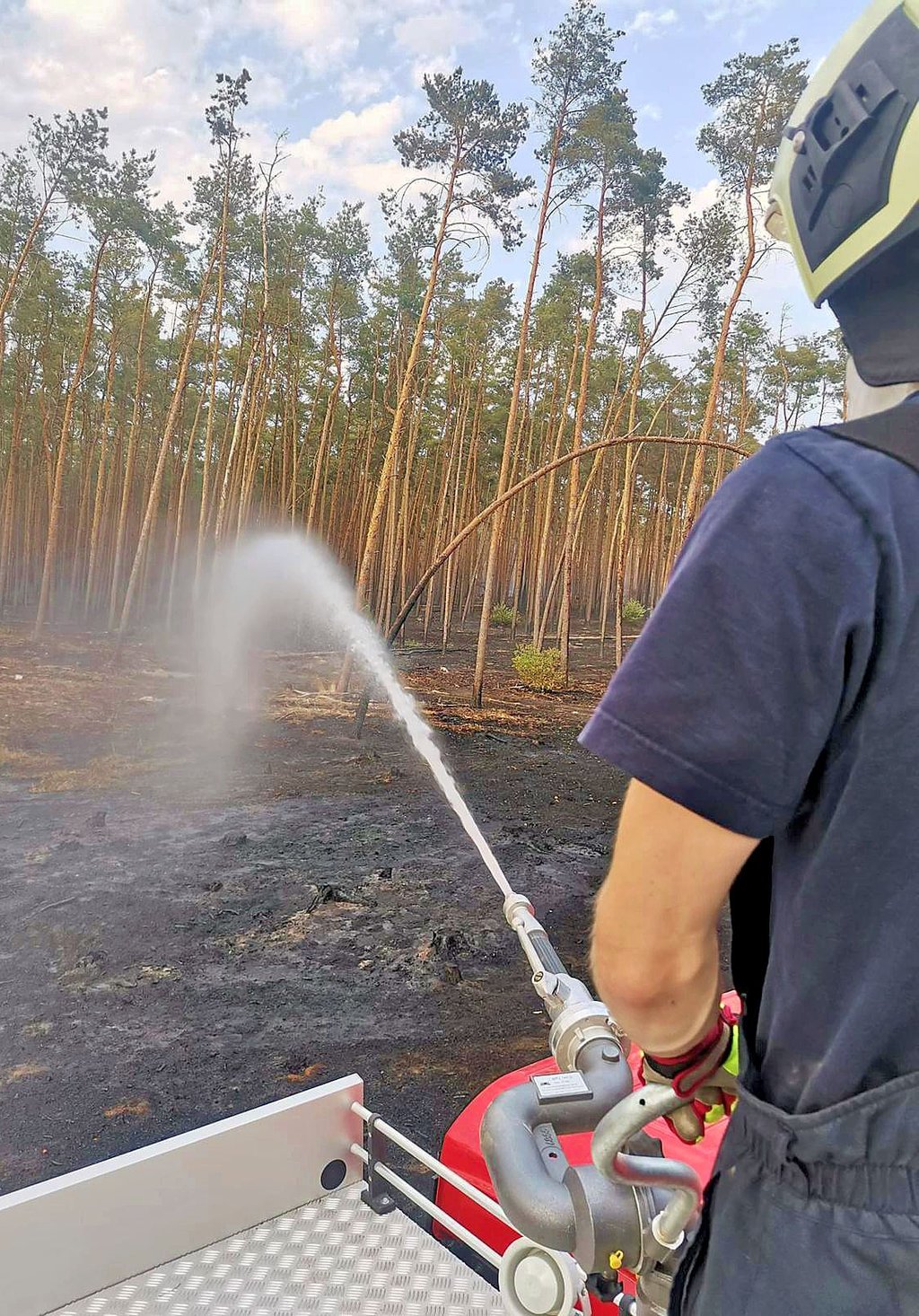 Ein Mitglied der Freiwilligen Feuerwehr Teuchern löscht Glutnester, die infolge des Waldbrands schwelen.