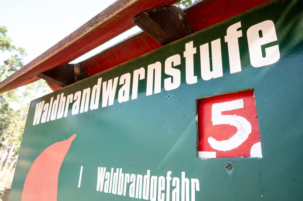Sachsen-Anhalts Innenministerin Tamara Zieschang (CDU) will die Bevölkerung für Katrastrophenfälle wie Waldbrände rüsten.