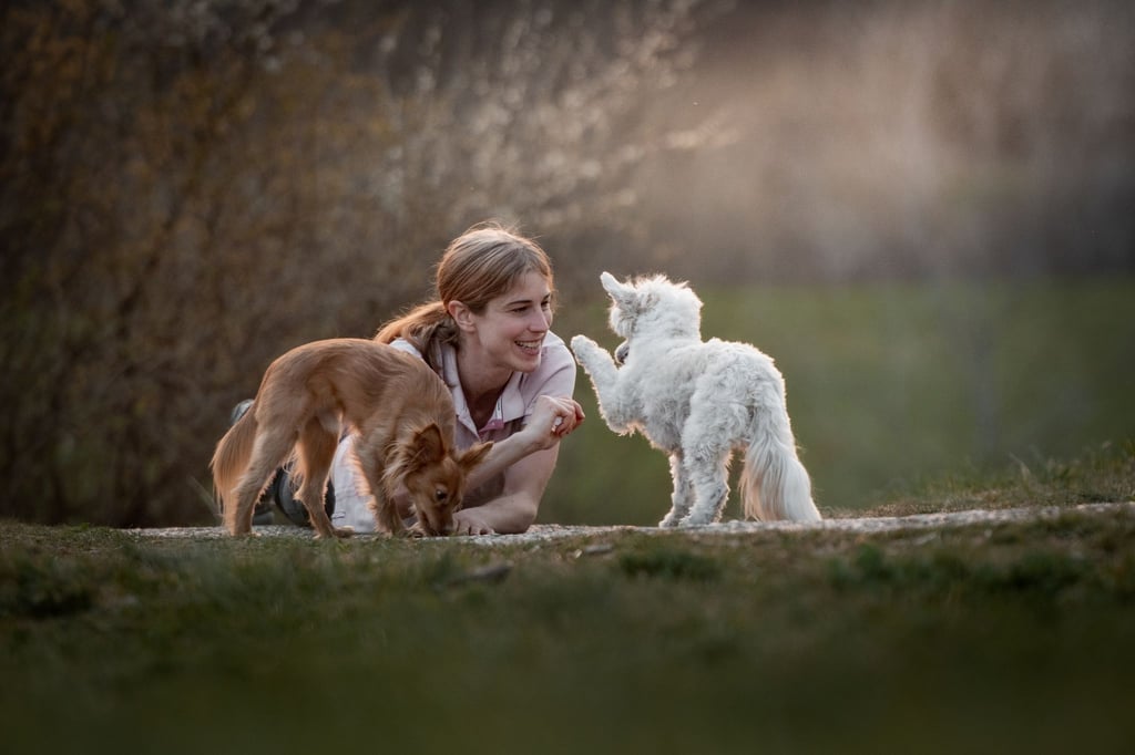 Stefanie Riemer hat mehrere Jahre eine Forschungsgruppe zu Hundeverhalten an der Universität Bern geleitet.