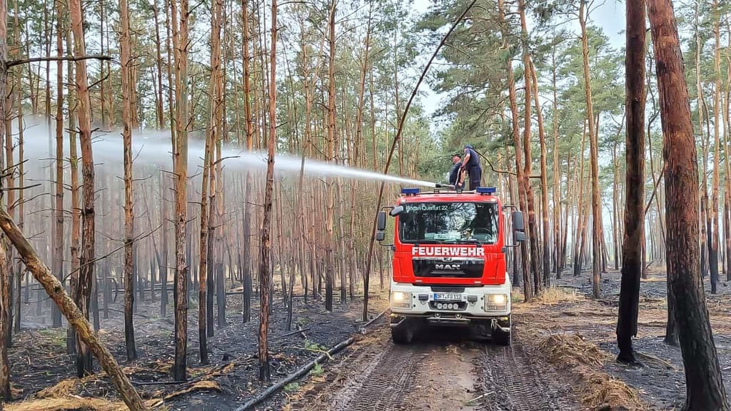Mit ihrem Tanklöschfahrzeug, das speziell für Waldbrände ausgerüstet ist, helfen die Kameraden der Freiwilligen Feuerwehr Querfurt in Nordsachsen.