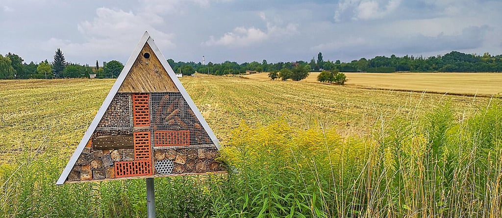 Insektenhotel in Trebnitz.