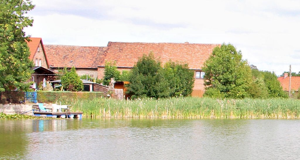 Der Schilfgürtel am Mühlenteich hat bereits ein Viertel der Wasseroberfläche vereinnahmt.