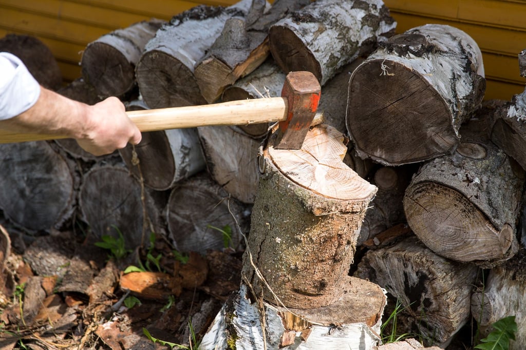 Frisch geschlagenes Holz kann nicht sofort verheizt werden, es muss erst trocknen - und zwar bis es weniger als 20 Prozent Wassergehalt hat.