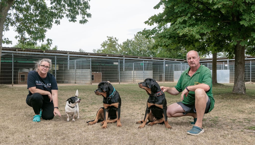 Die Tierheime sind voll und die Anfragen häufen sich. Ilka Dittberner, Tierheimleiterin, und Daniel Heese, Tierpfleger im Tierheim Schwerin, hocken neben Hunden.