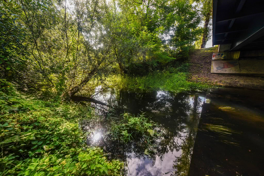 Mittlerweile fließt immerhin wieder ein wenig Wasser durch die Luppe in Tragarth