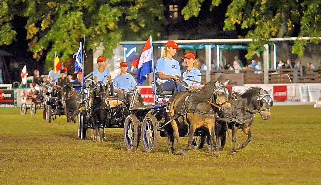 Gala "Pferd und Musik" beim Pferdefestival.