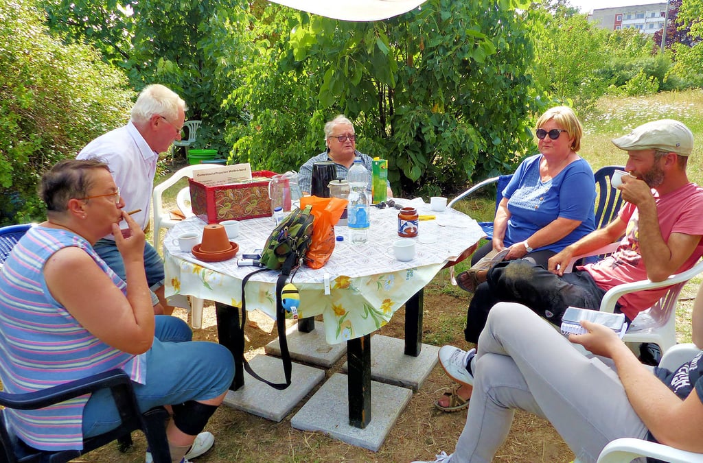 In gemütlicher Runde wird über alles gesprochen, was als nächstes im Gemeinschaftsgarten passieren soll.