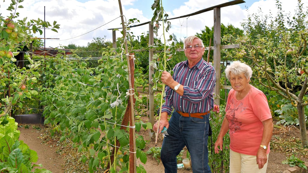 Sommerserie „Gesund durch den Garten“ Schönebeck Wie der Kleingarten