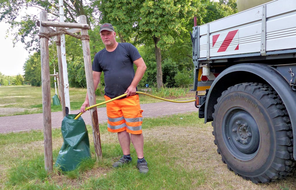 Dirk Richter vom Bauhof der Stadt Bitterfeld-Wolfen füllt unter anderem die Pflanzsäcke in der Grünen Lunge mit je 100 Litern Wasser.