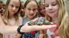 Die Mädchen und Jungen der Kita "Kyffhäuserzwerge" in Kelbra sind von den Griechischen Landschildkröten begeistert. 