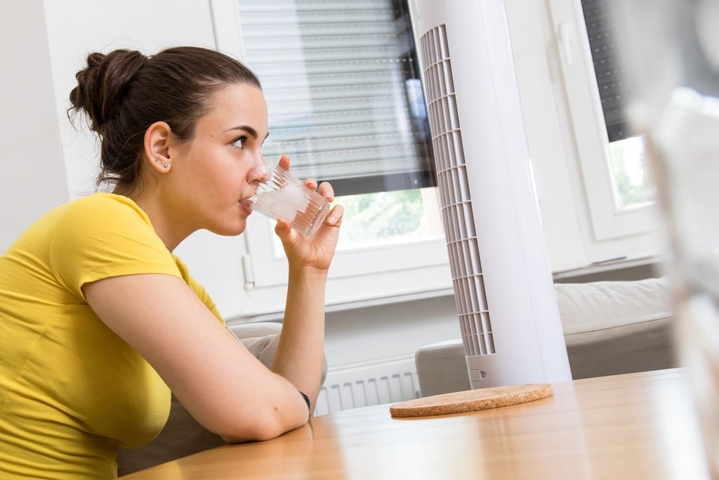 Standventilatoren können recht schnell ein Gefühl von Erfrischung an heißen Sommertagen vermitteln.