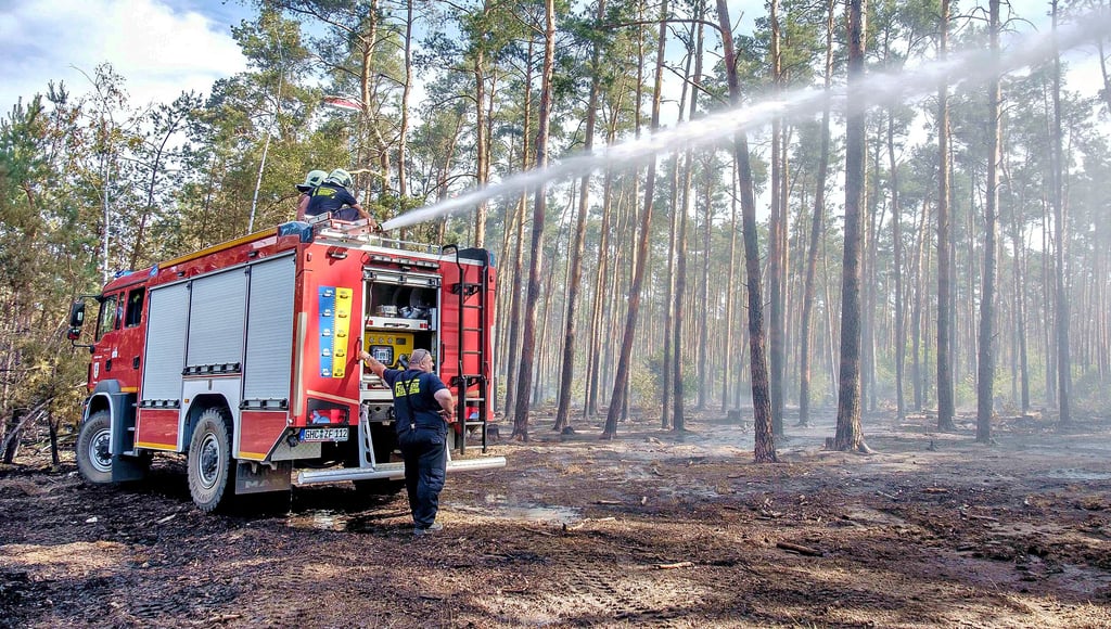 Wehren aus dem Landkreis Wittenberg unterstützten beim Löschen des Waldbrandes bei Falkenberg im Elbe-Elster-Kreis.
