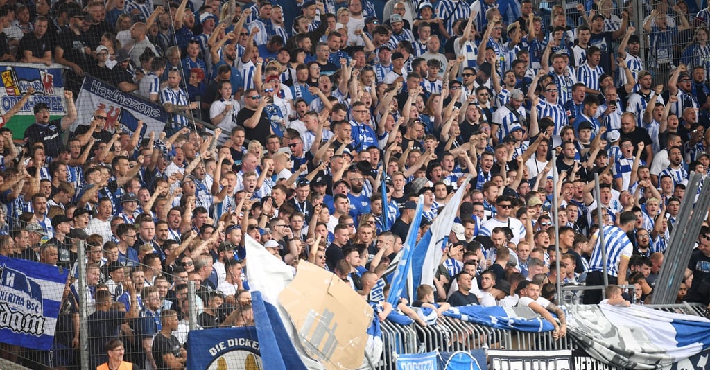 Fans von Hertha BSC feiern auf der Tribüne.