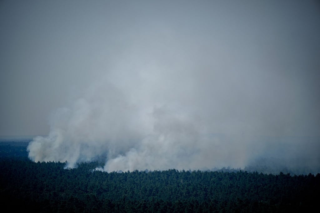Rauch steigt im Berliner Grunewald auf.