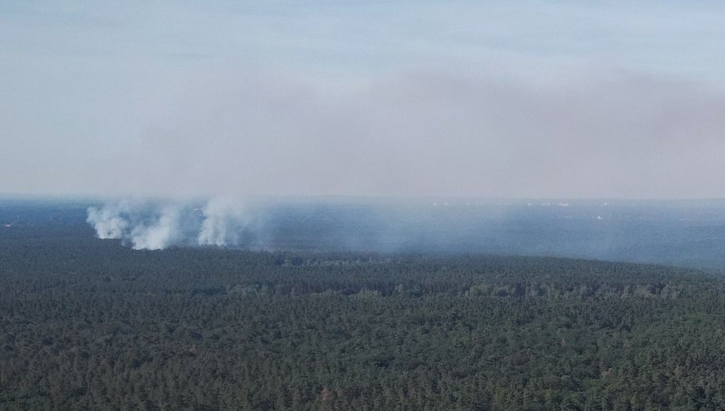 Rauch steigt im Berliner Grunewald auf.