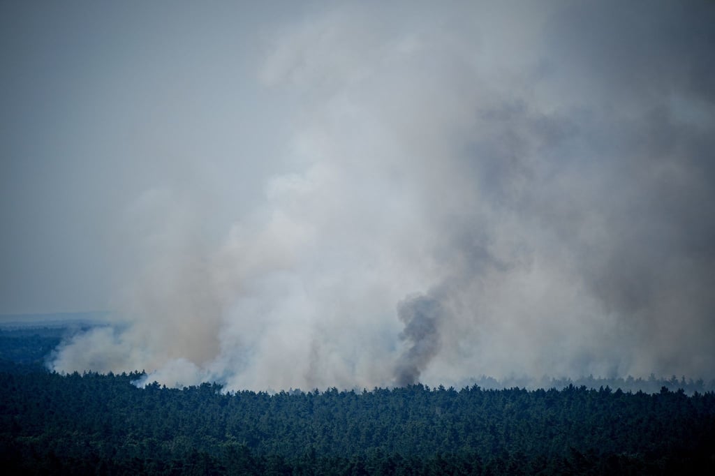 Rauch steigt bei einem Brand im Grunewald auf.