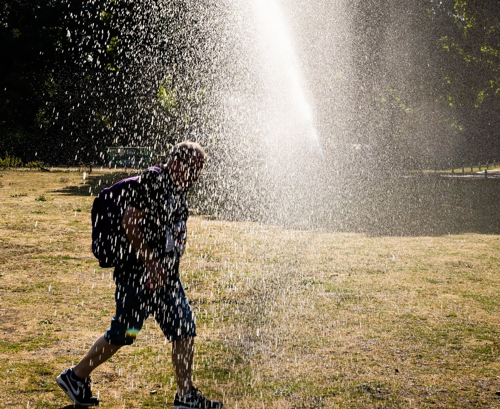 Das Pumpen von Wasser aus Brunnen für das Bewässern wird im Salzlandkreis weiter eingeschränkt.