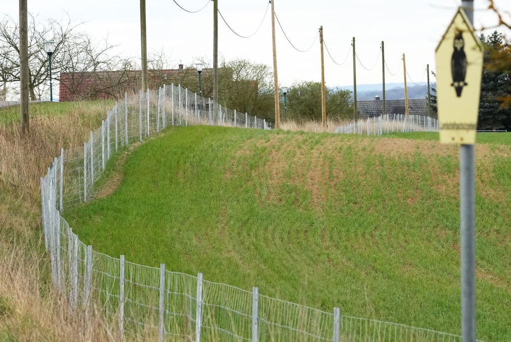 Ein neu gebaute Wildschutzzaun gegen die Ausbreitung der Afrikanischen Schweinepest (ASP).
