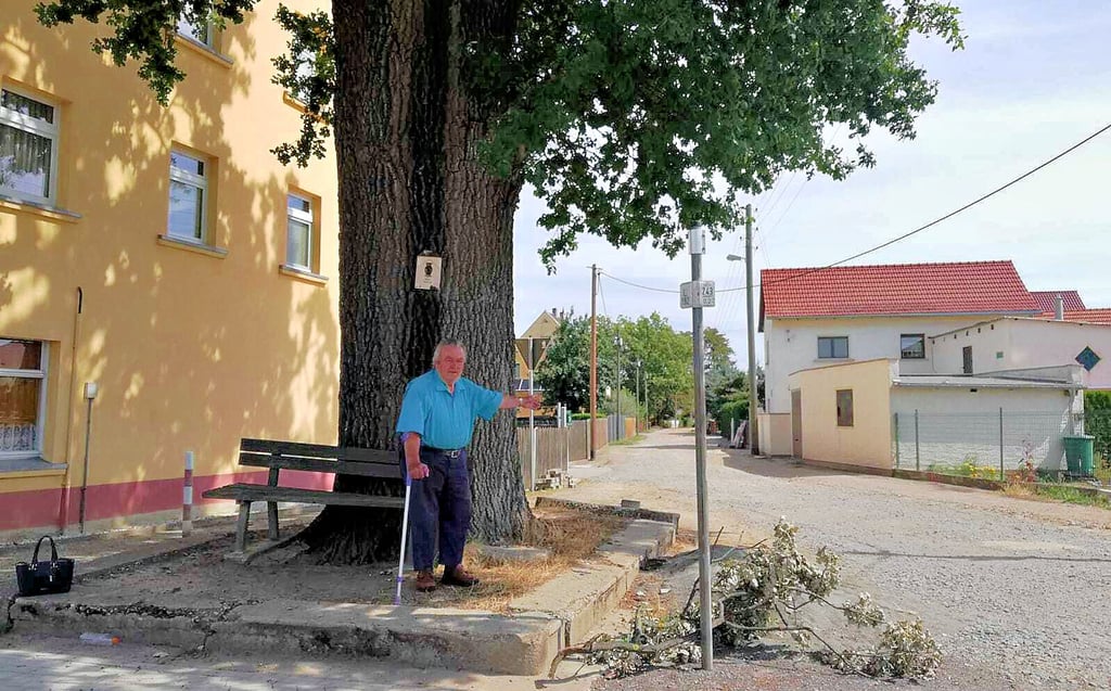 Unter der alten Eiche in Könderitz steht Kurt Krämer. Er engagierte sich viele Jahre lang für sein Dorf und zeigt die Straße, in der derzeit gebaut wird.