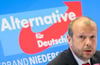 Stefan Marzischewski-Drewes, AfD-Spitzenkandidat in Niedersachsen.