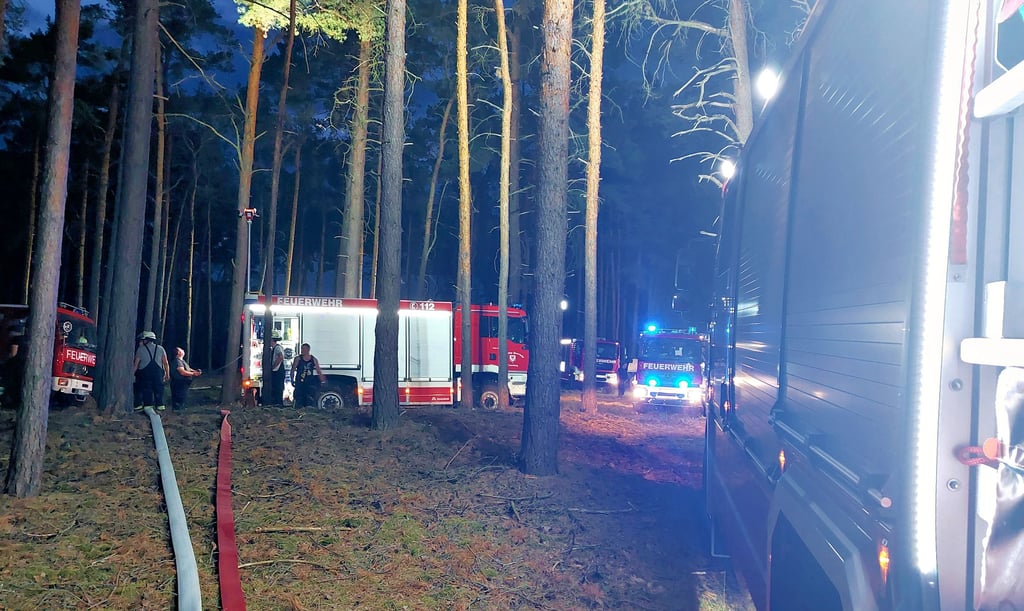 Großbrand: Die Feuerwehr Osterburg war von 21 bis 23.30 Uhr im Wald bei Hohengöhren im Einsatz.