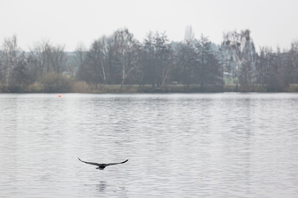 Der Allersee in Wolfsburg.