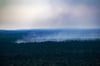 Rauchschwaden sind vom Teufelsberg aus über dem Grunewald zu sehen.