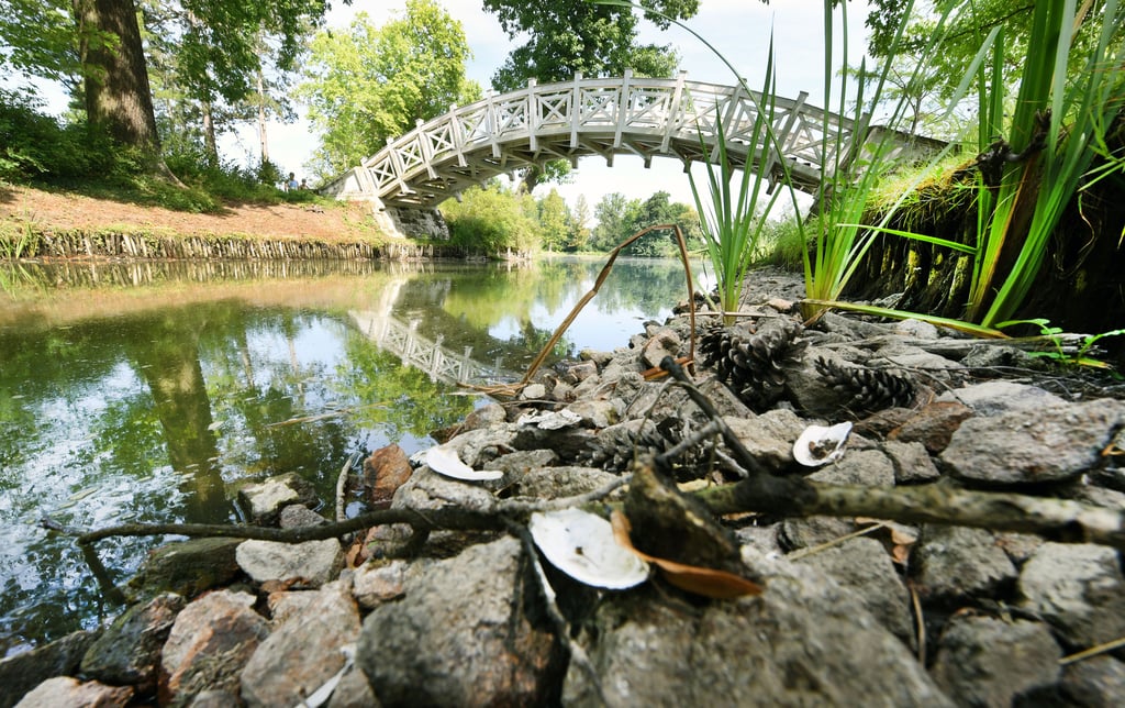 Im Wörlitzer Park hat der niedrige Wasserstand die Uferbefestigung am Kanal vor der Weißen Brücke freigelegt. Zwei Fähren mussten schon ihren Betrieb einstellen.