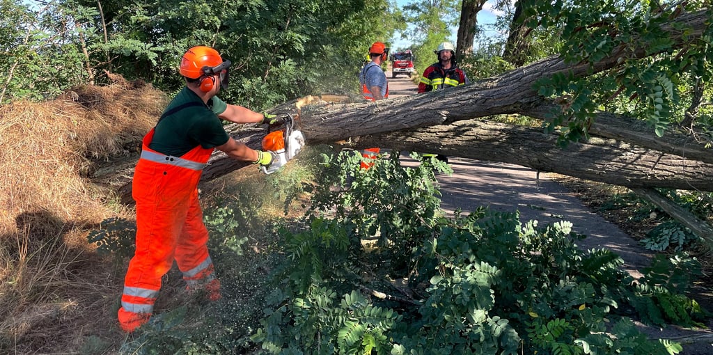Mit der Kettensägen sind die Einsatzkräfte der Freiwilligen Feuerwehr Garitz-Bornum den Bäumen zu Leibe gerückt.