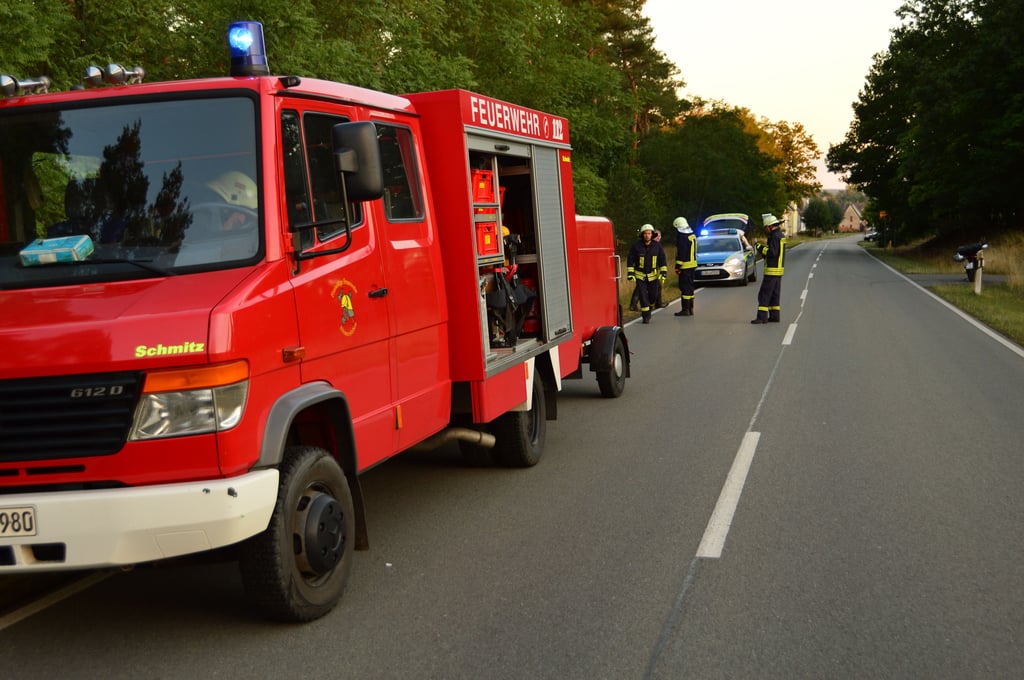 Neben der Polizei musste am Sonnabend auch die Feuerwehr zu einem Wildunfall ausrücken.