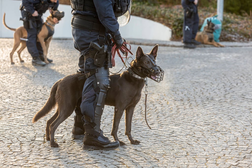 Die Polizei suchte mit einem Fährtenhund nach dem Angreifer.