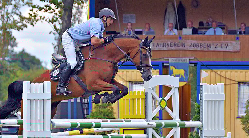 Christian Paarmann vom Reit- und Fahrverein Calvörde überwindet auf seinem Pferd Queeny ohne Fehler und in Bestzeit bei der Zwei-Phasen-Springreitprüfung der Klasse L die Hindernisse und gewinnt den Bördecup.