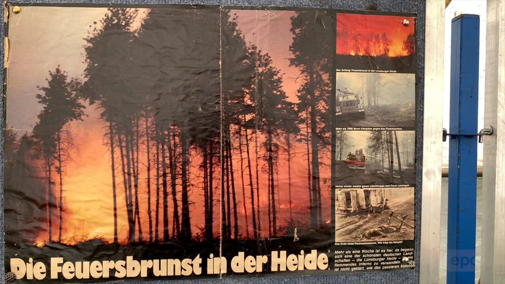 Größte Waldbrandkatastrophe Deutschlands: Das Horror-Feuer in der Lüneburger  Heide mit sieben Todesopfern