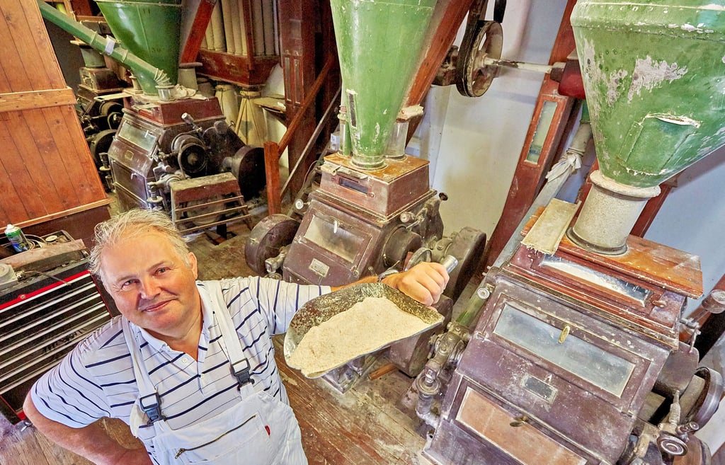 Harald Sauer ist seit mehr als 30 Jahren Müllermeister in der Mühle Lederbogen in Cörmigk.