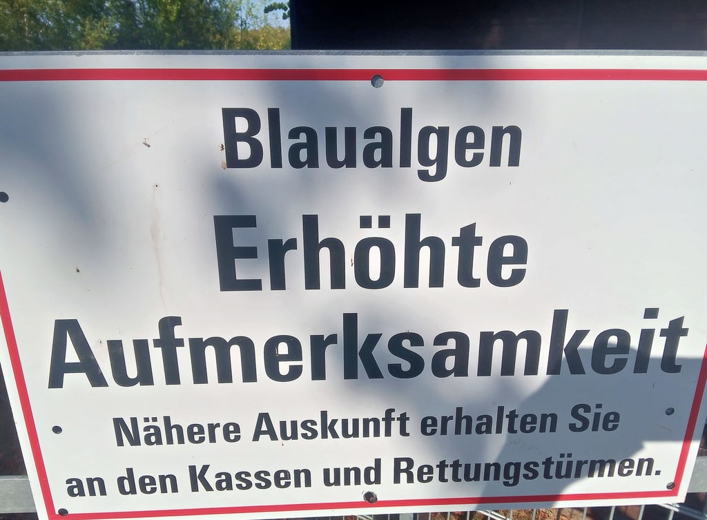 Ein Schild warnt am Strandbad Neustädter See vor einer erhöhten Konzentration an Blaualgen im Wasser.