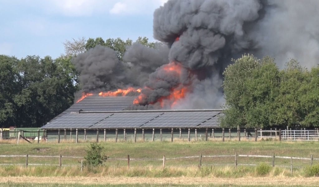 Auf einem Bauernhof in Essen im Landkreis Cloppenburg ist ein Feuer ausgebrochen.