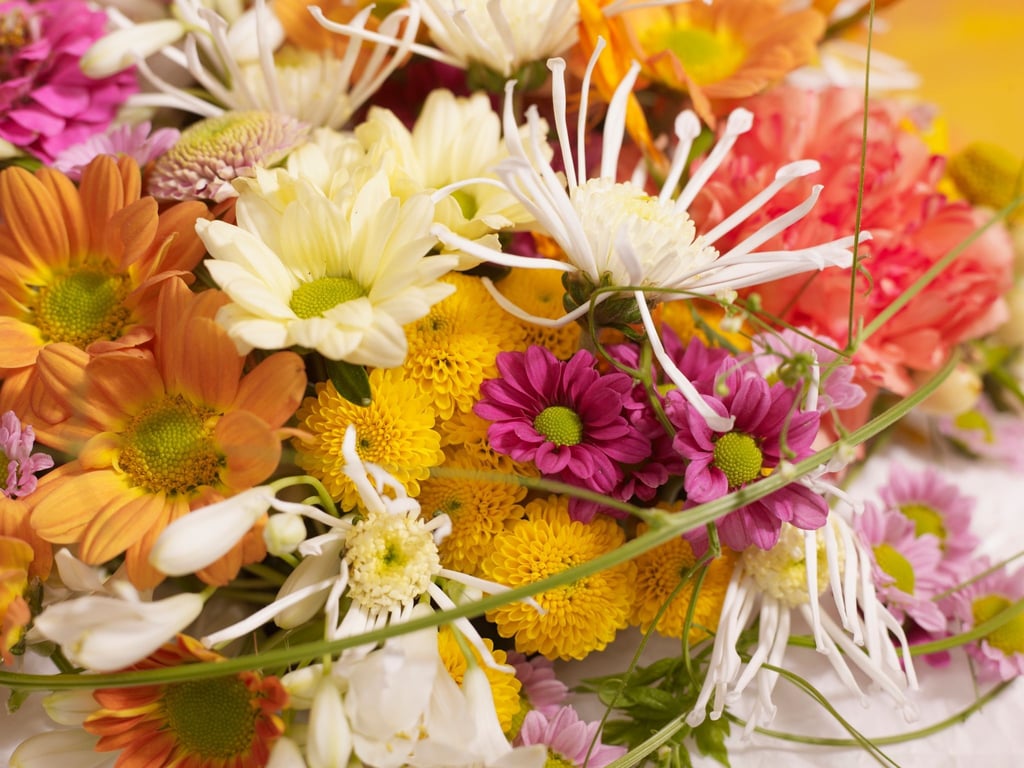 Wer selbst Blumen aus seinem Garten erntet, sollte schon aufgeblühte und ausgereift wirkende Blüten mit Stiel abschneiden.