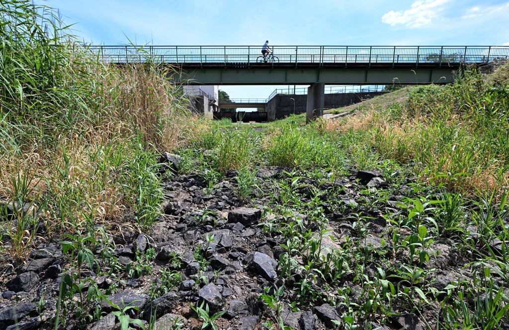 Hitze in Deutschland - das ausgetrocknete Flussbett der Schwarzen Elster in Brandenburg.