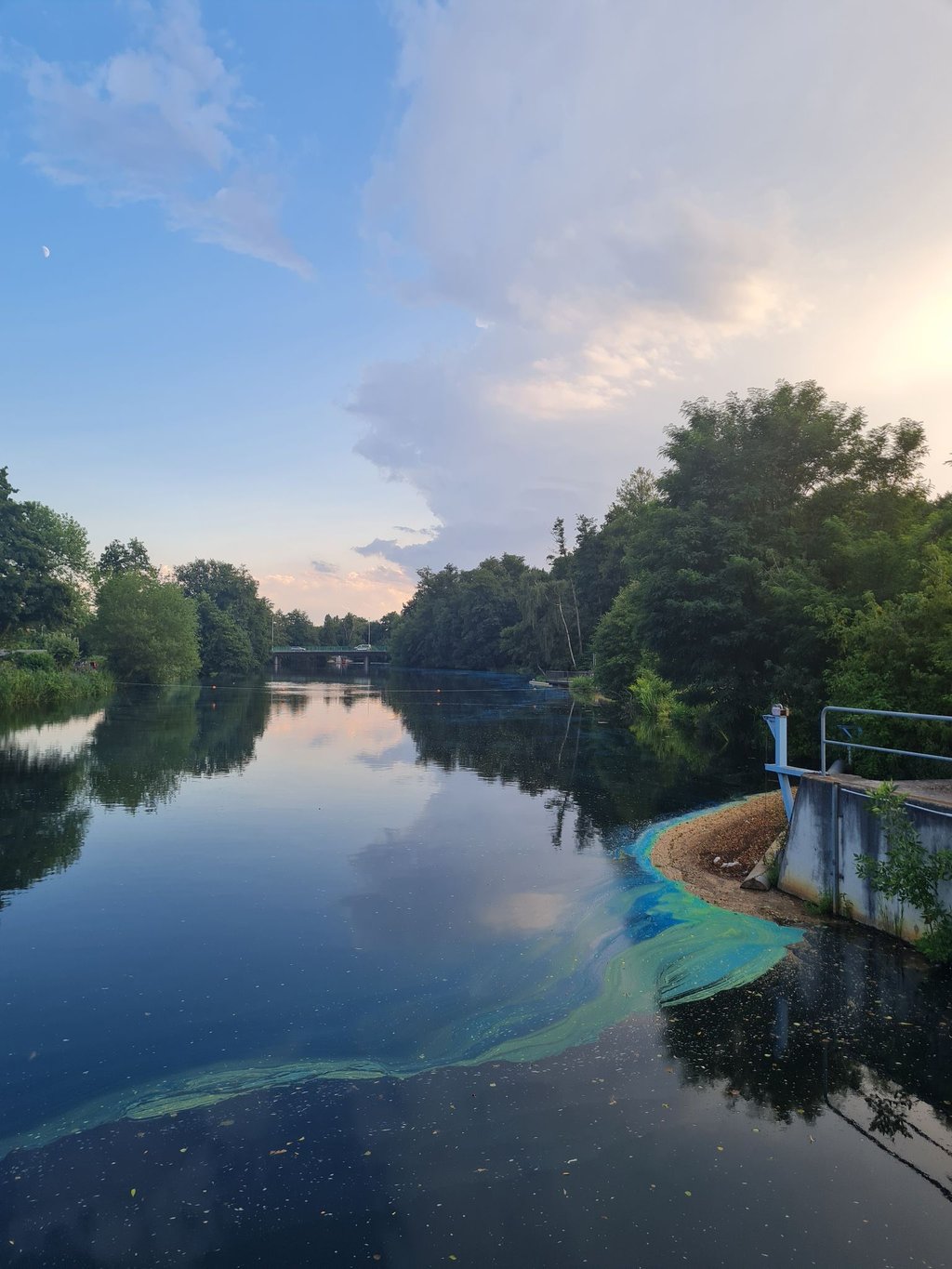 Eine farbige Flüssigkeit schwimmt auf der Spree in der Nähe der Spreewehrmühle.