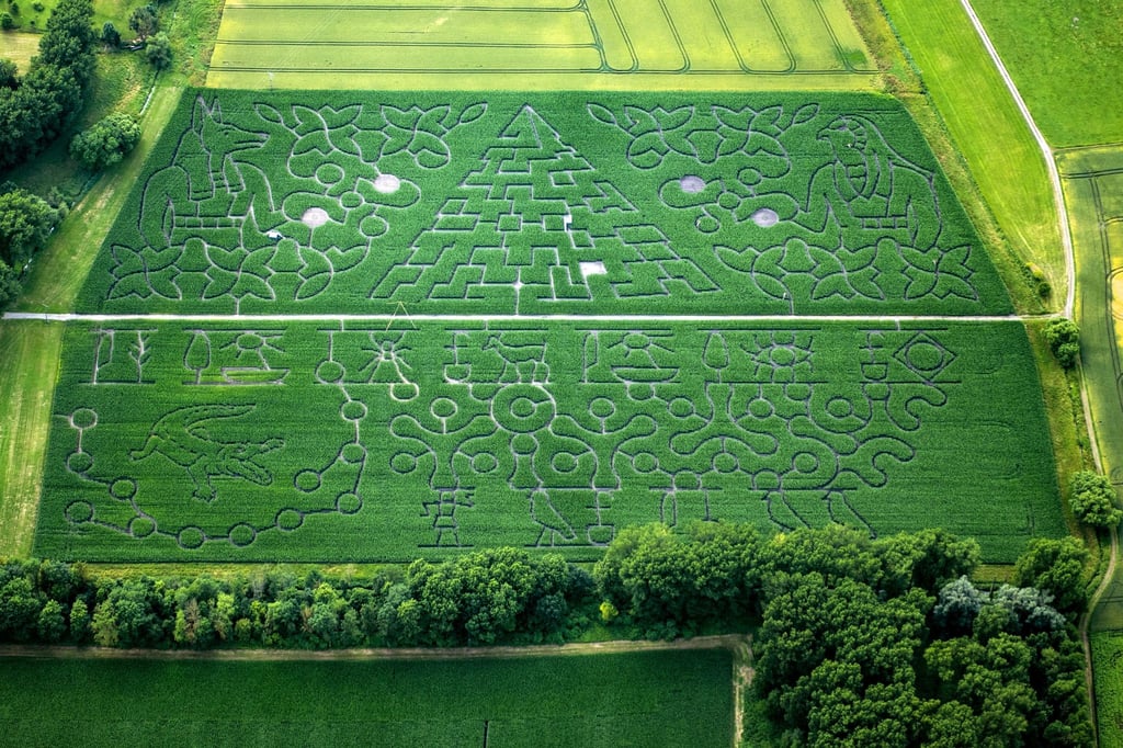 In Atting im niederbayerischen Landkreis Straubing-Bogen gibt es einen Mais-Irrgarten auf gut 16.600 Quadratmetern Fläche.