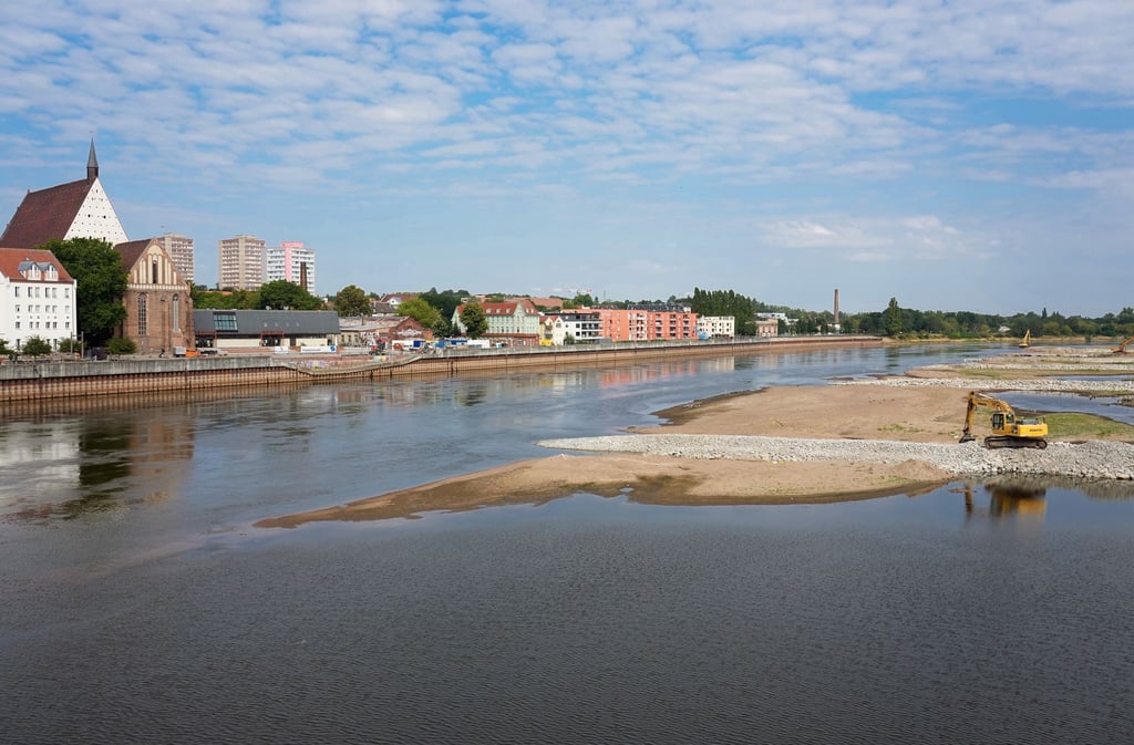 Ein Bagger arbeitet auf einer durch das Niedrigwasser freiliegenden Sandbank im Flussbett der Oder