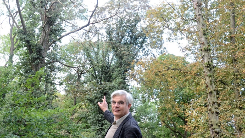 Verwalter Harald Blanke sorgt sich um dem Baumbestand im Landschaftspark Althaldensleben-Hundisburg. Die Trockenheit setzt den Bäumen enorm zu.